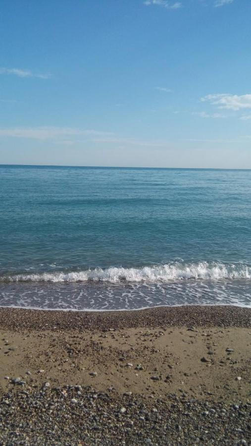 Daniela B&B Cariati Dış mekan fotoğraf