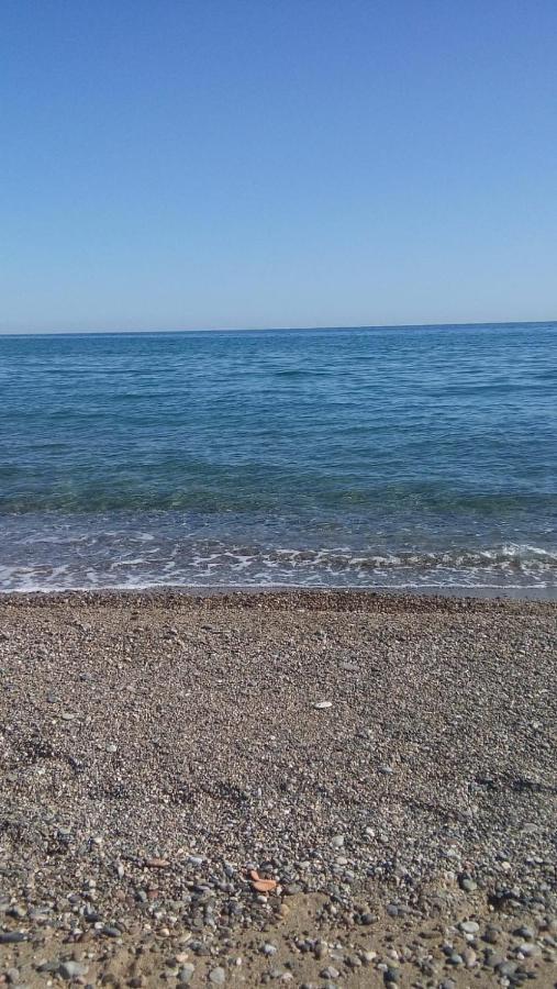 Daniela B&B Cariati Dış mekan fotoğraf